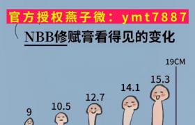 nbb增大膏多少錢(qián)一盒？真假查詢步驟